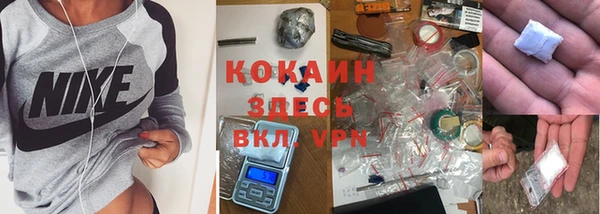 a pvp Алзамай