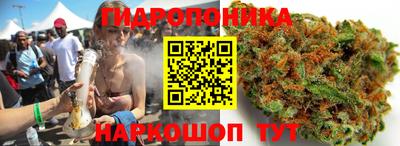 гашишное масло Камышлов