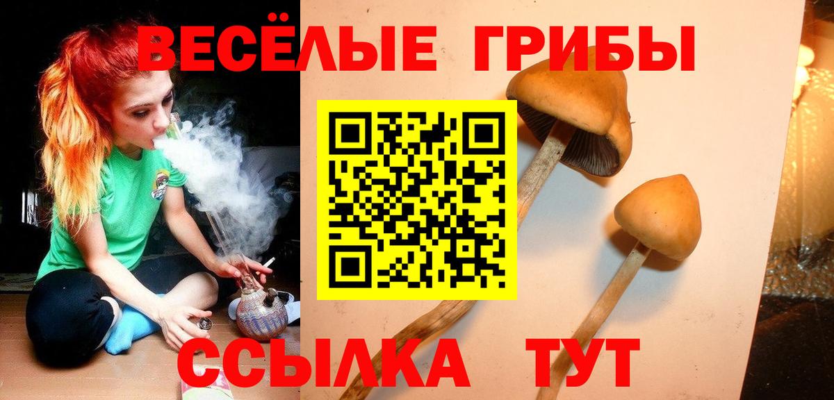 Скопин  Галлюциногенные грибы MAGIC MUSHROOMS  где найти наркотики  Вход с VPN 
