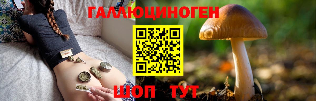 Псилоцибиновые грибы Psilocybe Скопин
