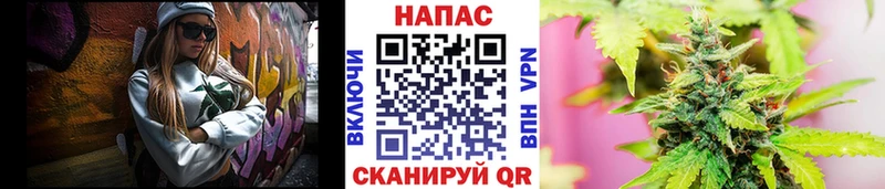 маркетплейс как зайти Скопин МАРИХУАНА ГИДРОПОН